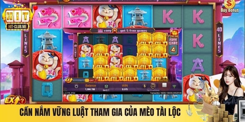 Cần nắm vững luật tham gia của Mèo Tài Lộc